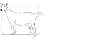 The SA Milch Goat Breeders' Society Members